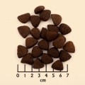 wide-plain_large-breed_kroketten.jpg